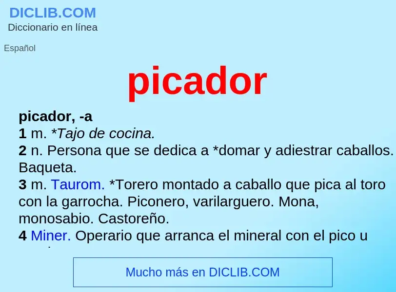 Wat is picador - definition