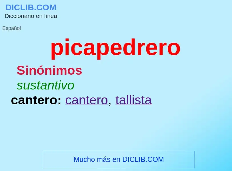 Wat is picapedrero - definition