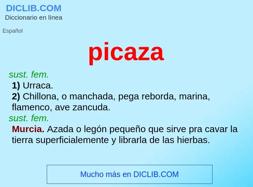 Was ist picaza - Definition