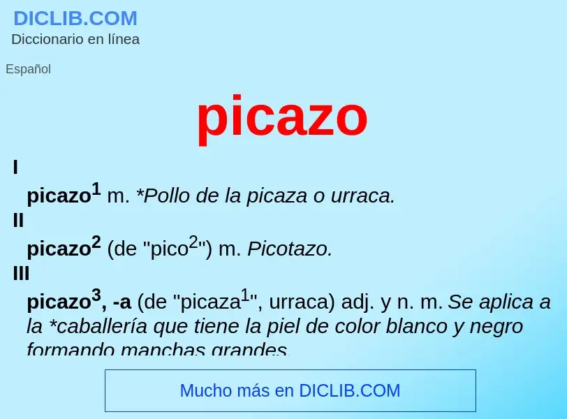 What is picazo - meaning and definition