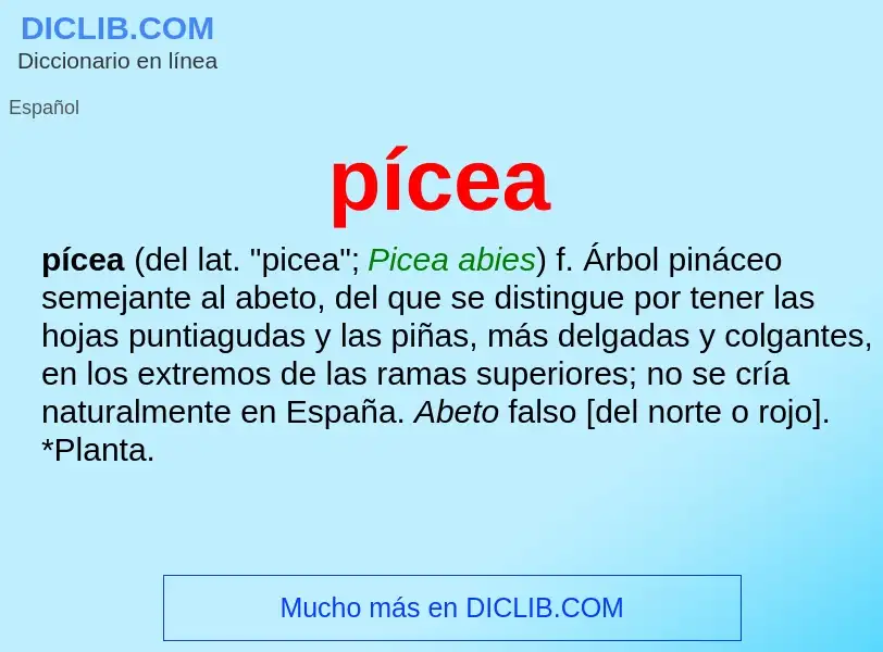 ¿Qué es pícea? - significado y definición