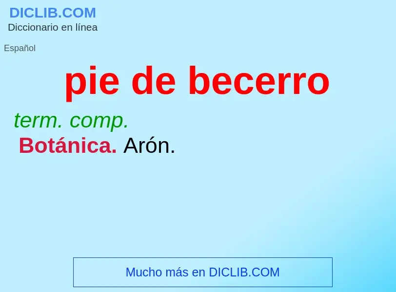 What is pie de becerro - definition