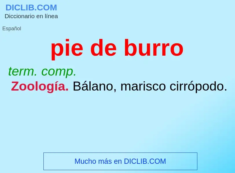 What is pie de burro - definition