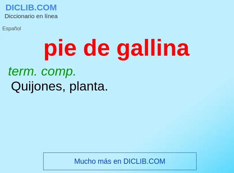 What is pie de gallina - definition