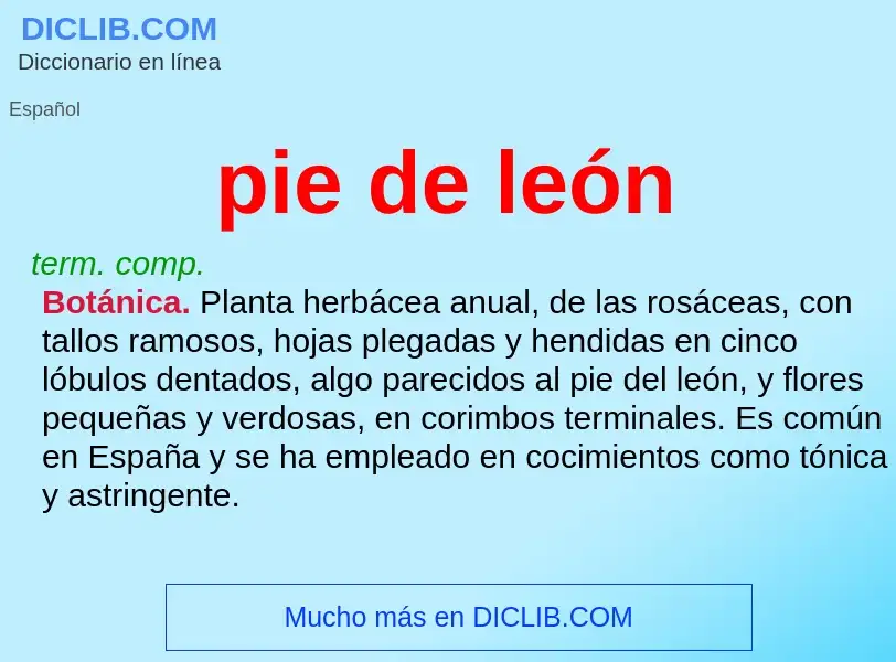 Che cos'è pie de león - definizione