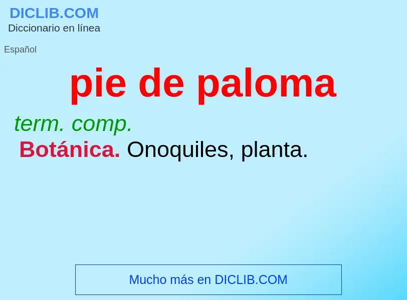 What is pie de paloma - meaning and definition