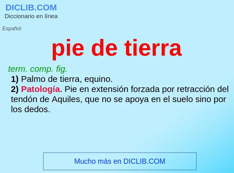 What is pie de tierra - definition