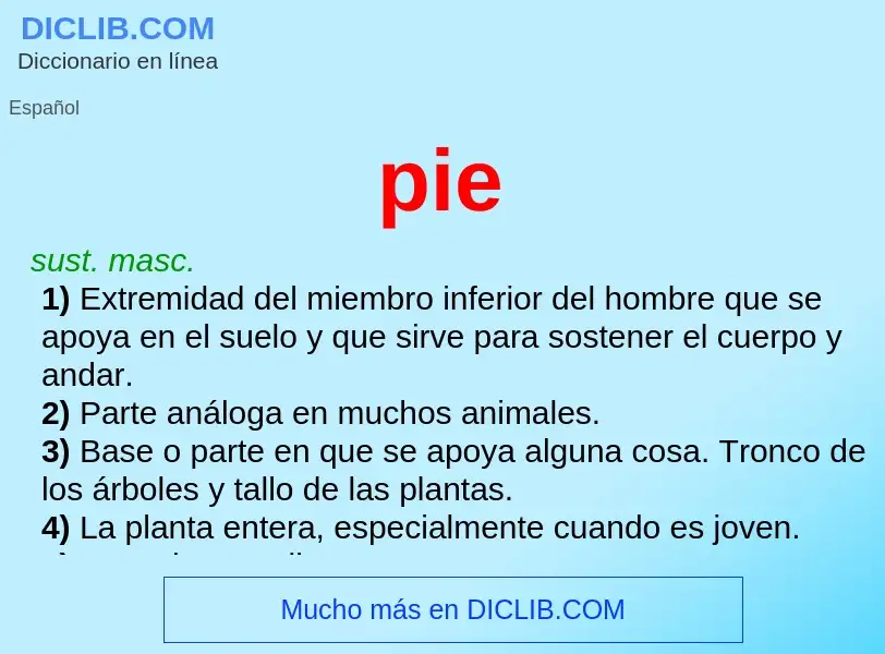 What is pie - meaning and definition