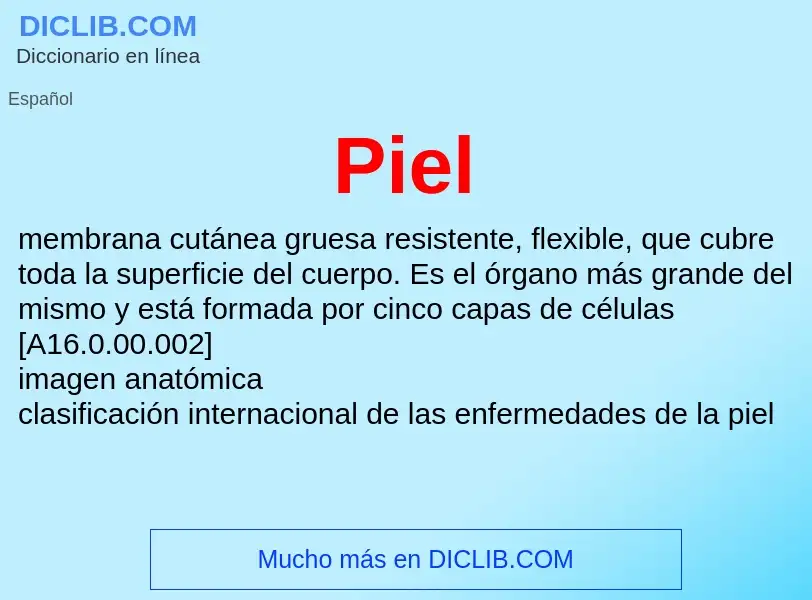 O que é Piel - definição, significado, conceito