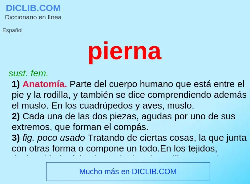 O que é pierna - definição, significado, conceito