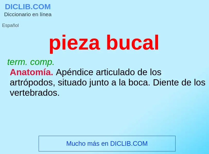 O que é pieza bucal - definição, significado, conceito