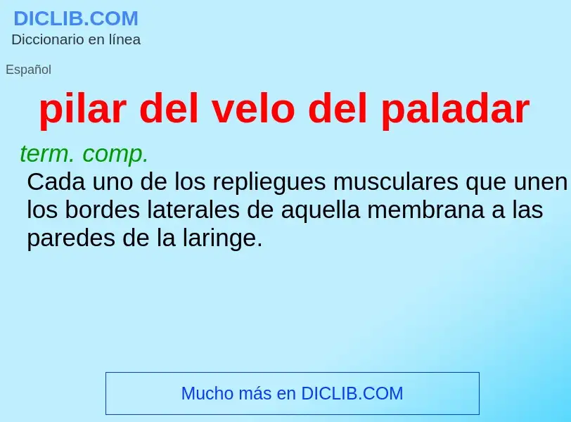 What is pilar del velo del paladar - meaning and definition