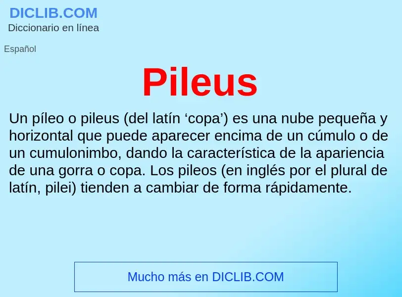 ¿Qué es Pileus? - significado y definición