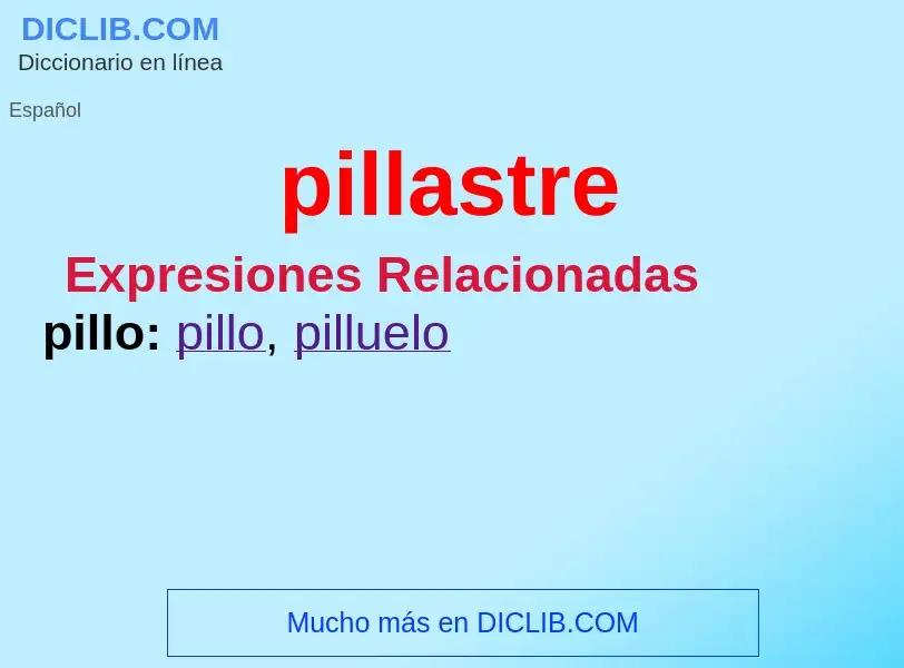 ¿Qué es pillastre? - significado y definición