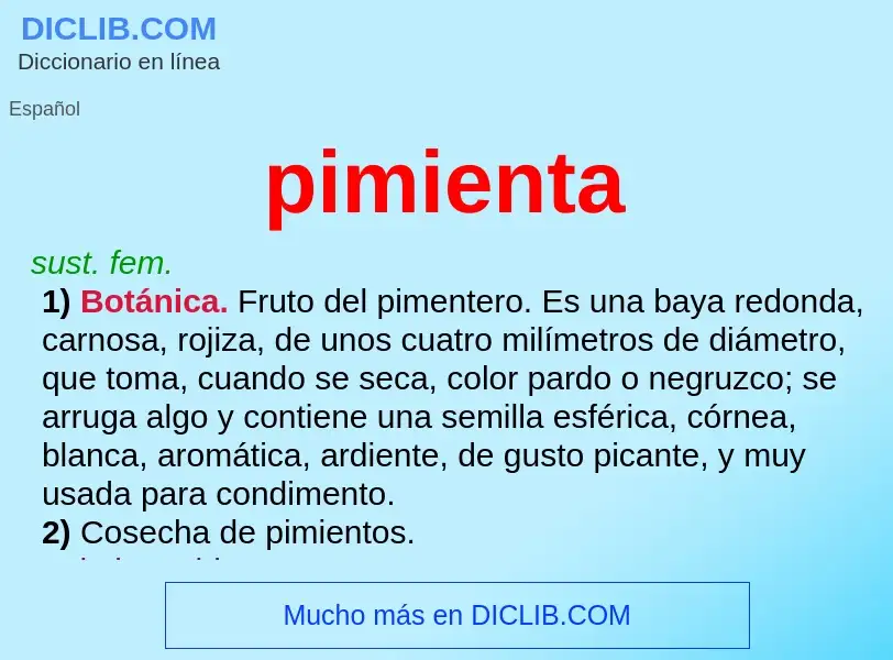 Wat is pimienta - definition