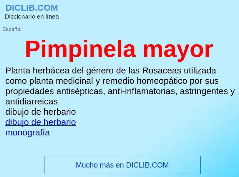 What is Pimpinela mayor - meaning and definition