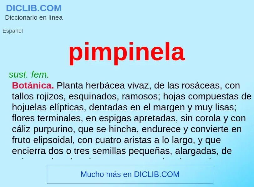 Was ist pimpinela - Definition