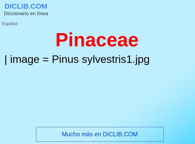 O que é Pinaceae - definição, significado, conceito