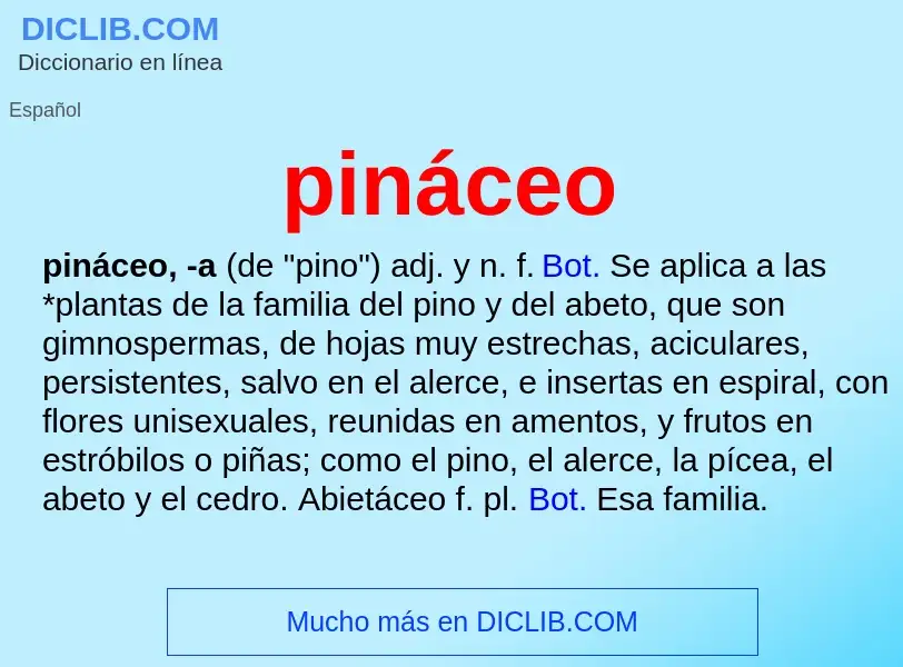 Что такое pináceo - определение