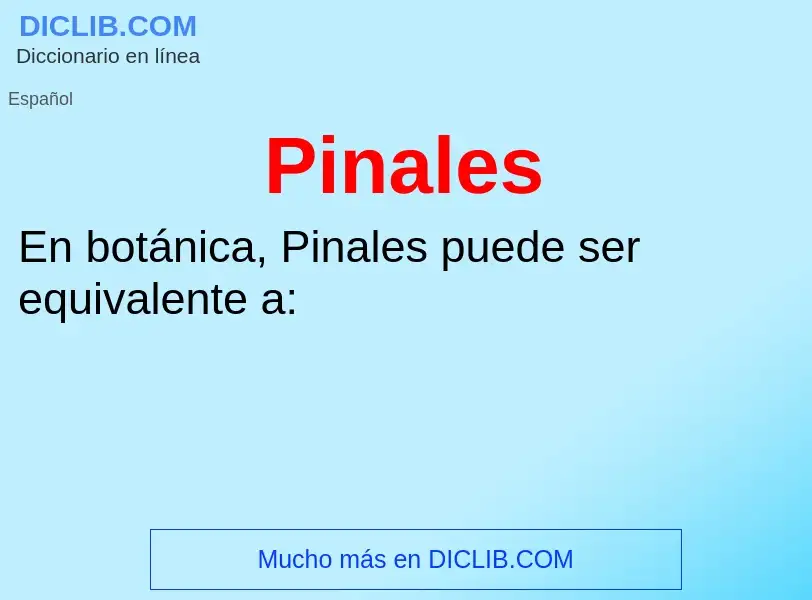 Wat is Pinales - definition