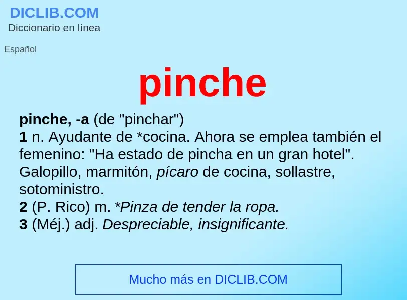 Что такое pinche - определение