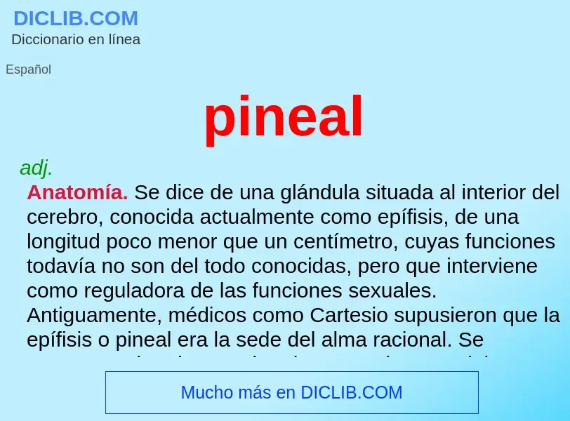 ¿Qué es pineal? - significado y definición