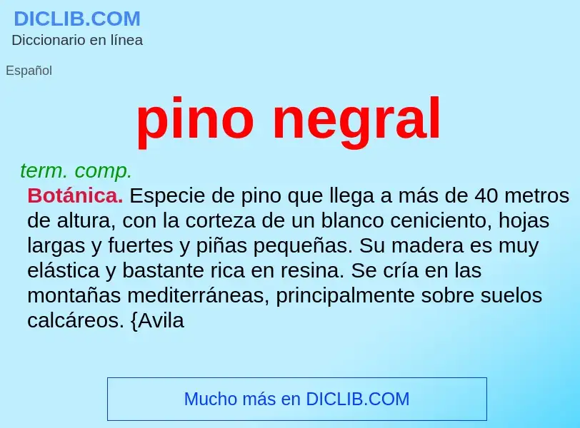 What is pino negral - meaning and definition