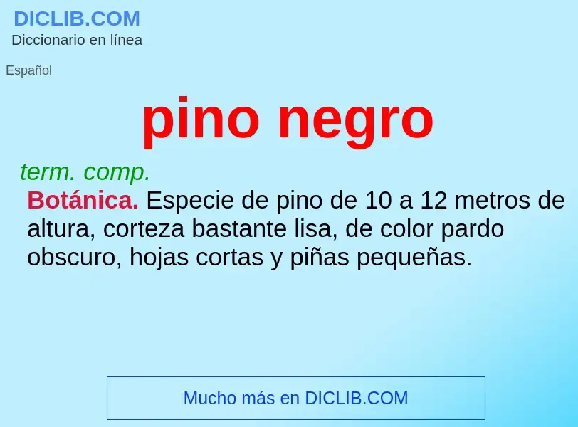 O que é pino negro - definição, significado, conceito