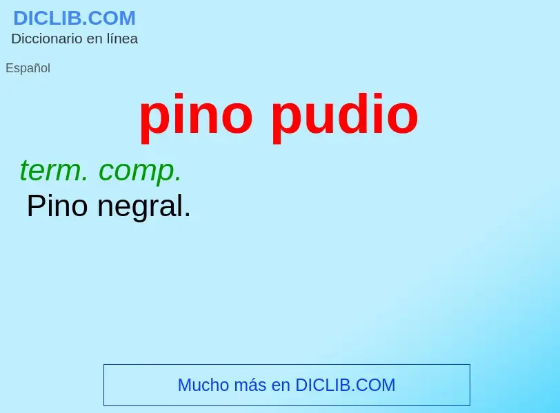 O que é pino pudio - definição, significado, conceito