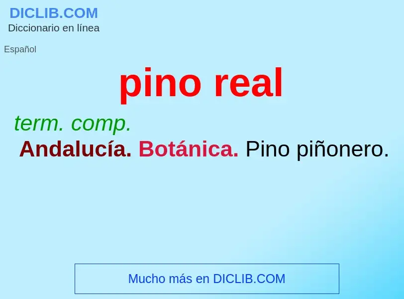 What is pino real - definition