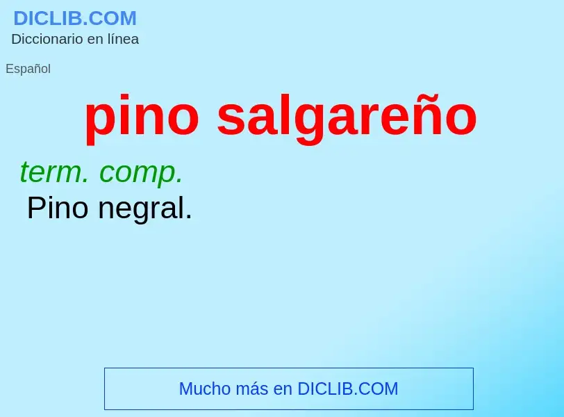 O que é pino salgareño - definição, significado, conceito