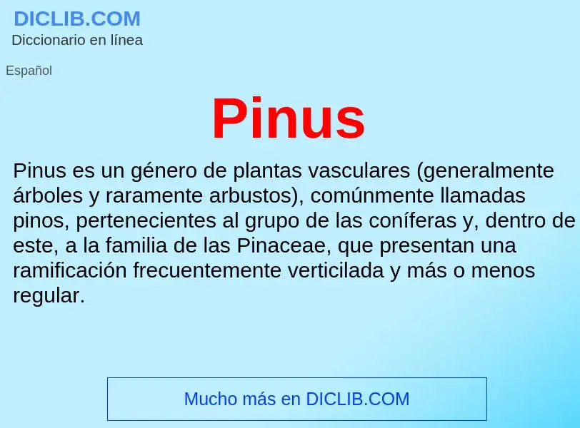 What is Pinus - meaning and definition