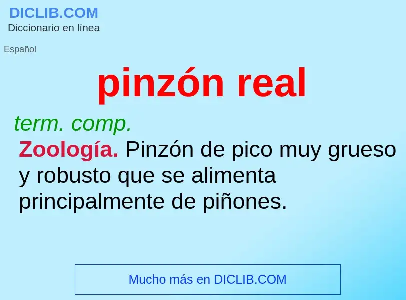 O que é pinzón real - definição, significado, conceito