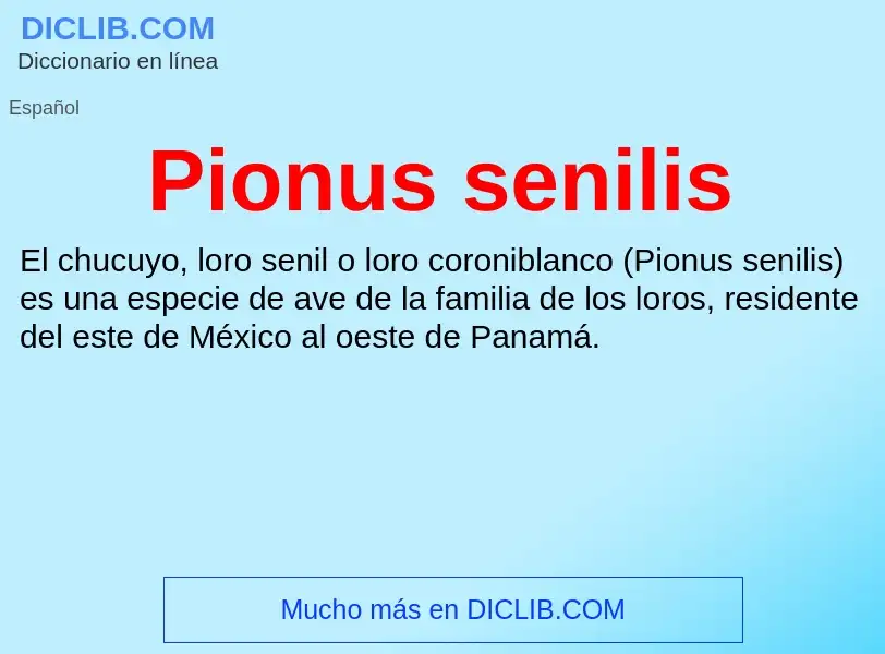 ¿Qué es Pionus senilis? - significado y definición