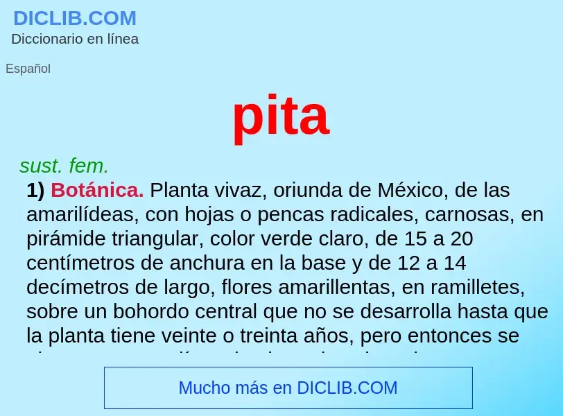 ¿Qué es pita? - significado y definición