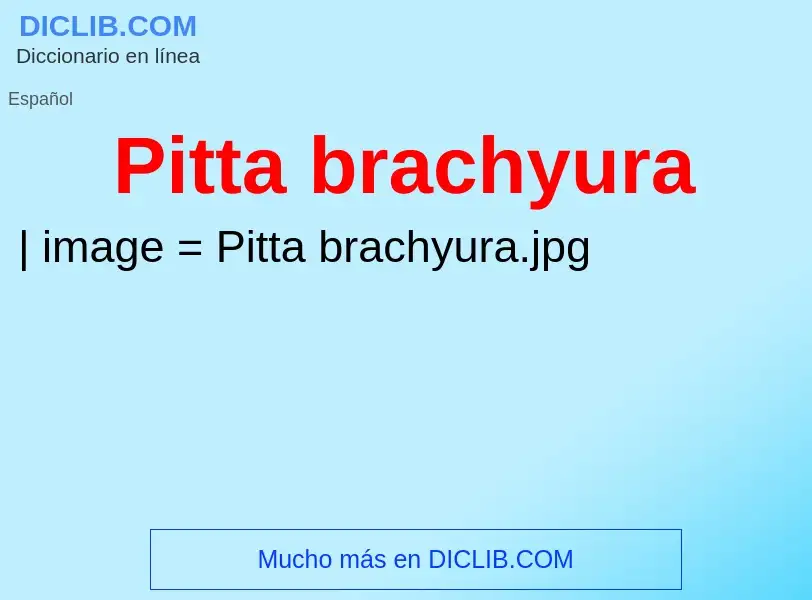 Wat is Pitta brachyura - definition