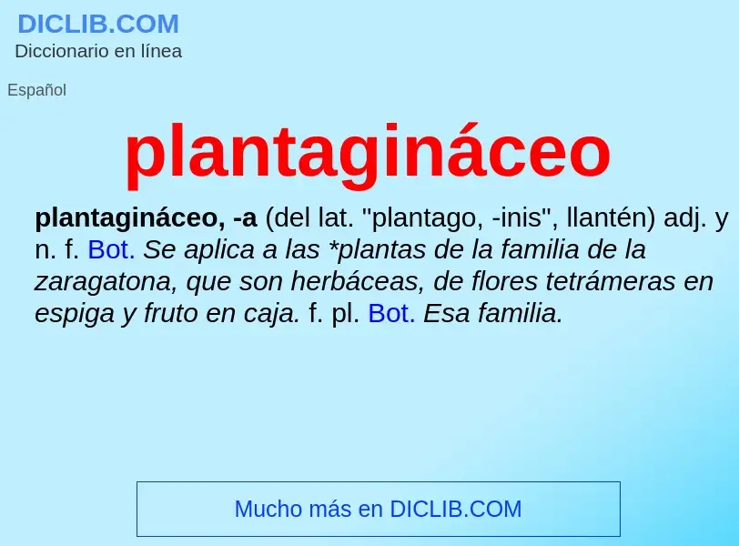 What is plantagináceo - meaning and definition