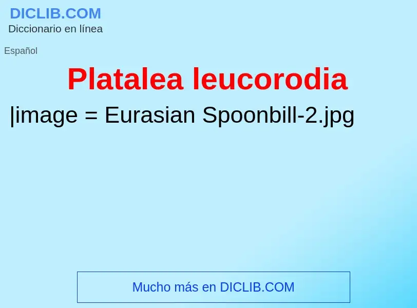 Che cos'è Platalea leucorodia - definizione