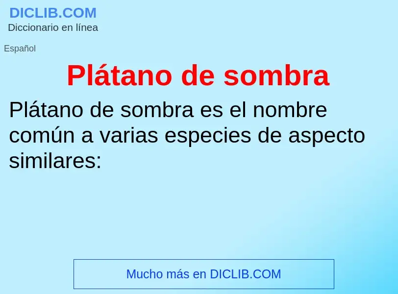 What is Plátano de sombra - meaning and definition