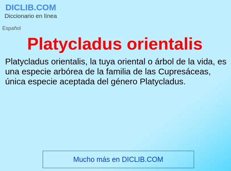 ¿Qué es Platycladus orientalis? - significado y definición