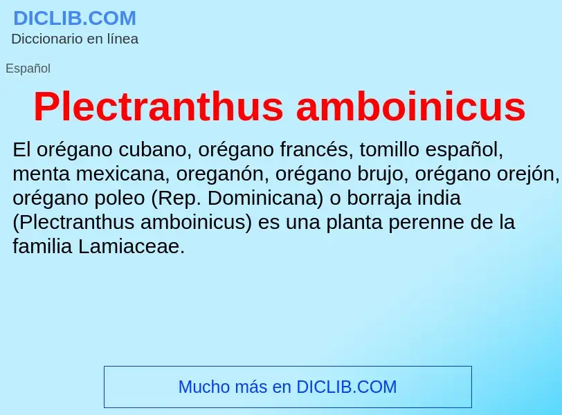 Wat is Plectranthus amboinicus - definition