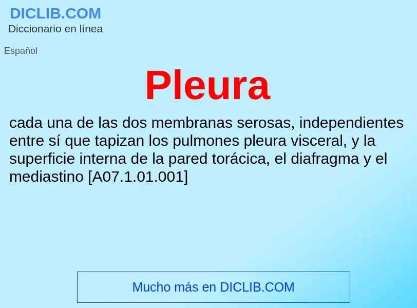 ¿Qué es Pleura? - significado y definición