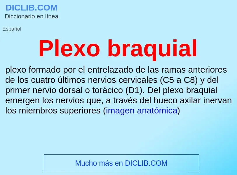 ¿Qué es Plexo braquial? - significado y definición