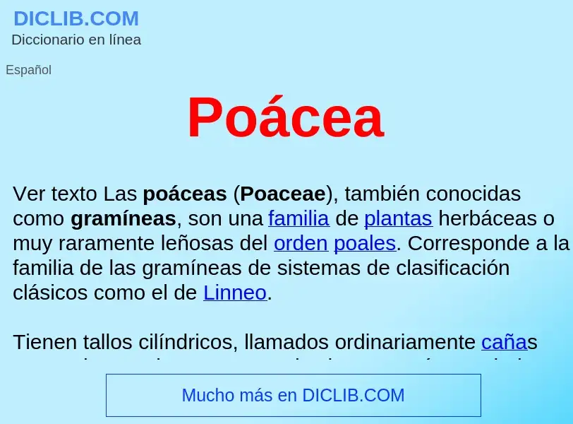 Wat is Poácea  - definition