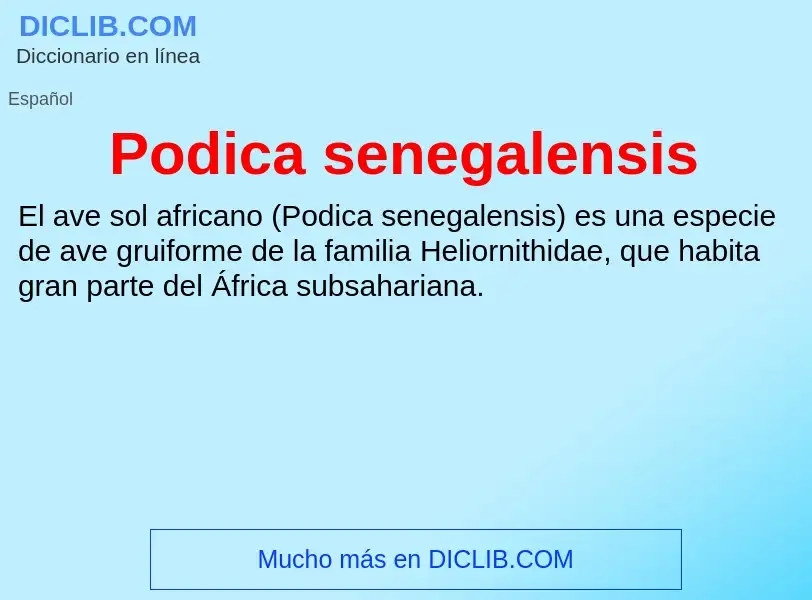 ¿Qué es Podica senegalensis? - significado y definición