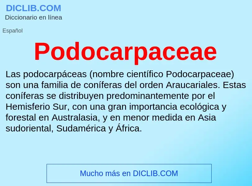 ¿Qué es Podocarpaceae? - significado y definición