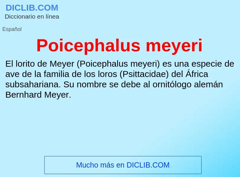 Что такое Poicephalus meyeri - определение