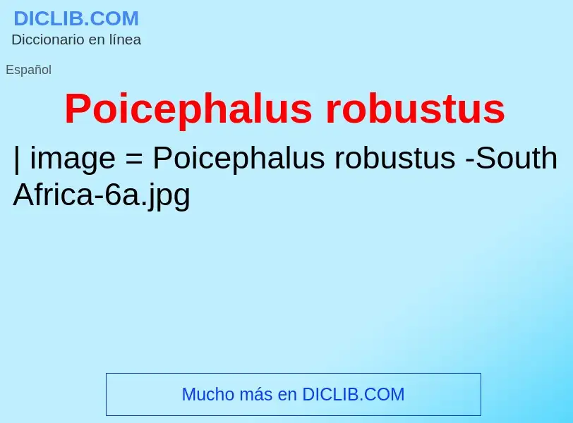 Wat is Poicephalus robustus - definition