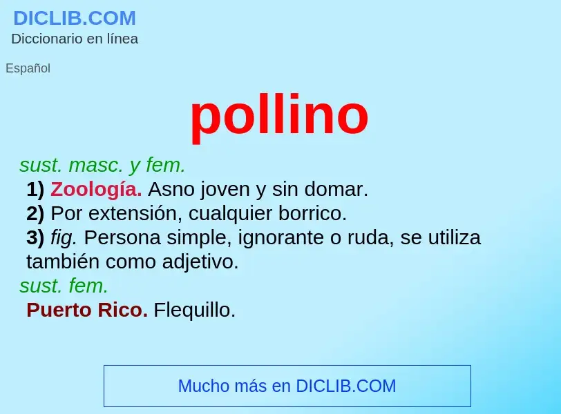 Wat is pollino - definition