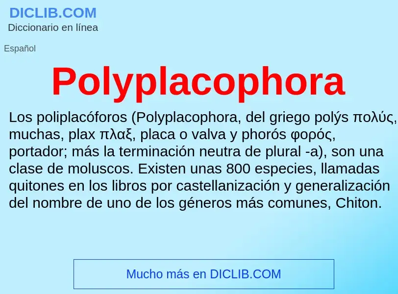 ¿Qué es Polyplacophora? - significado y definición